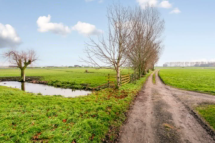 Foto 12 van Groeneveld 3