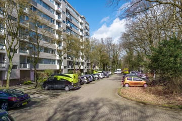 Bekijk foto's