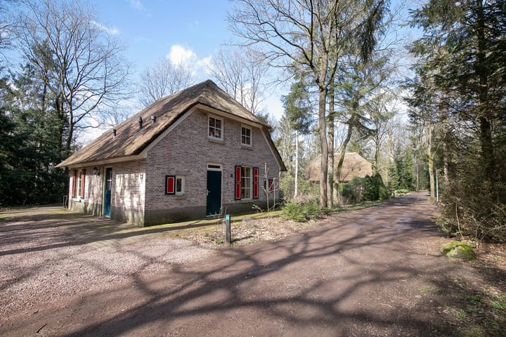 Foto 4 van Buinerweg 8-265