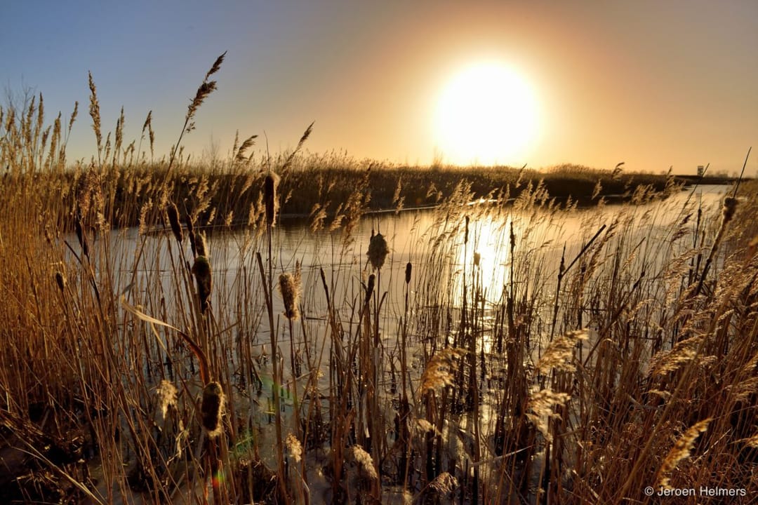 Photo 8 of Het Riet
