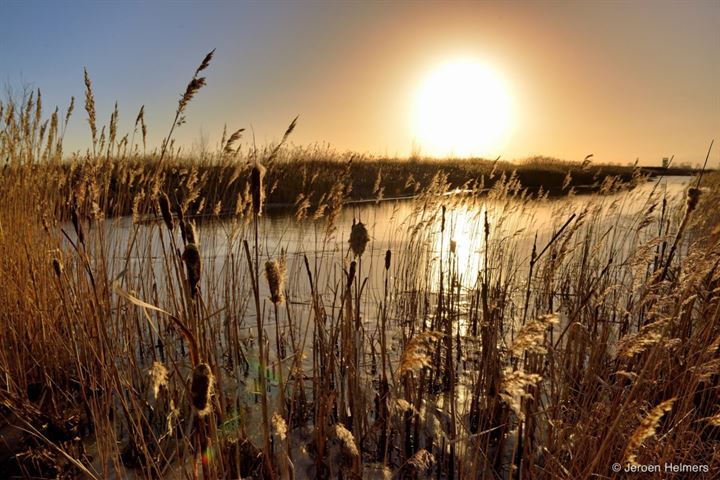 View photo 8 of Het Riet