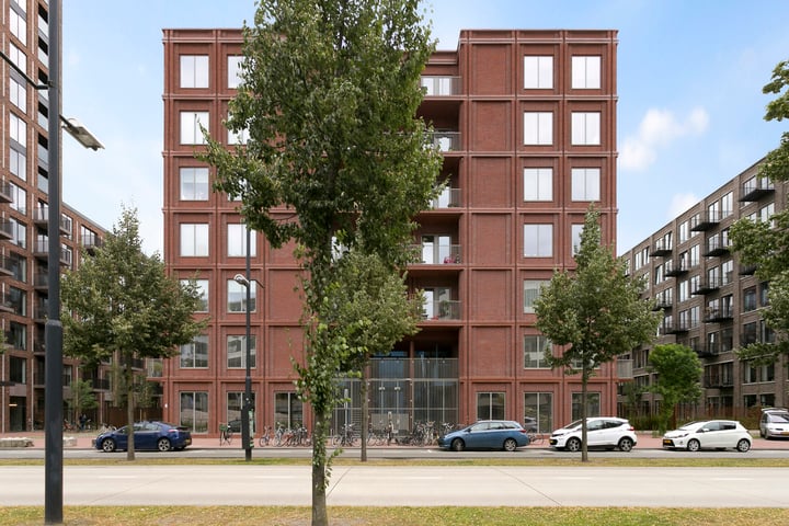 Blok 61 - Type C High Line