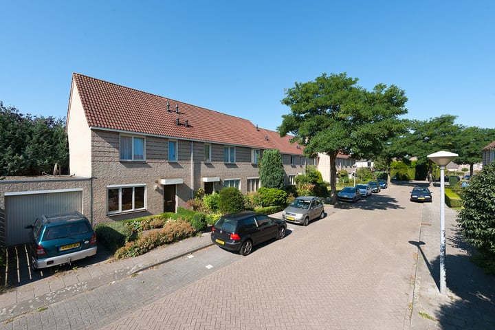 Gijzenrooi - Type B1