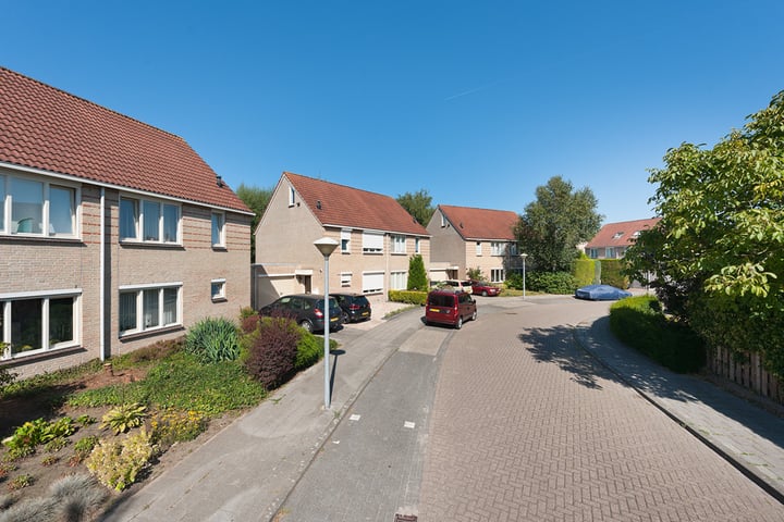 Gijzenrooi - Type A1