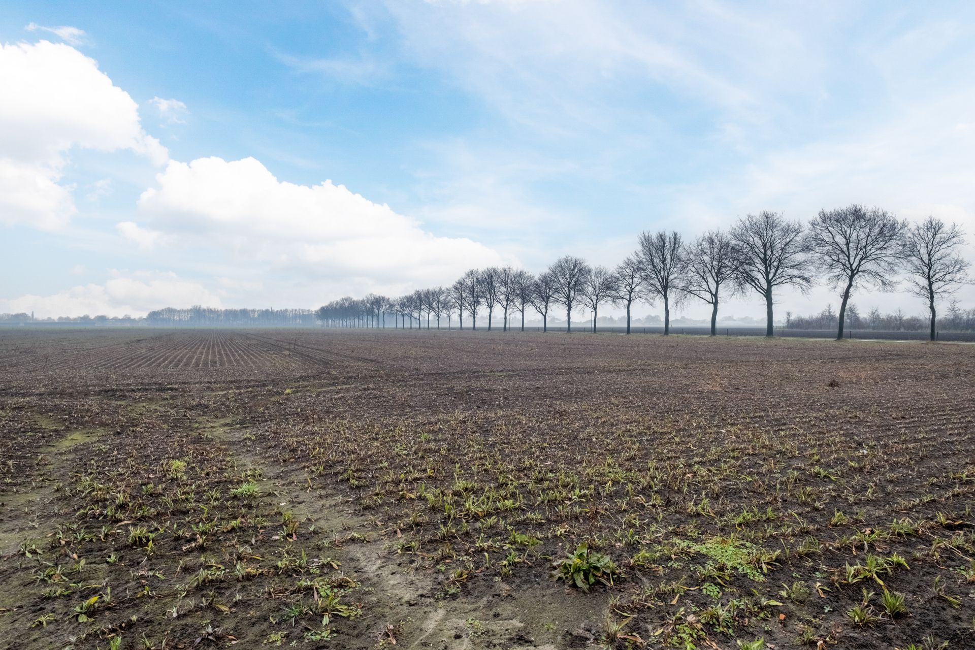 Photo 27 of Berkenstraat 12-B