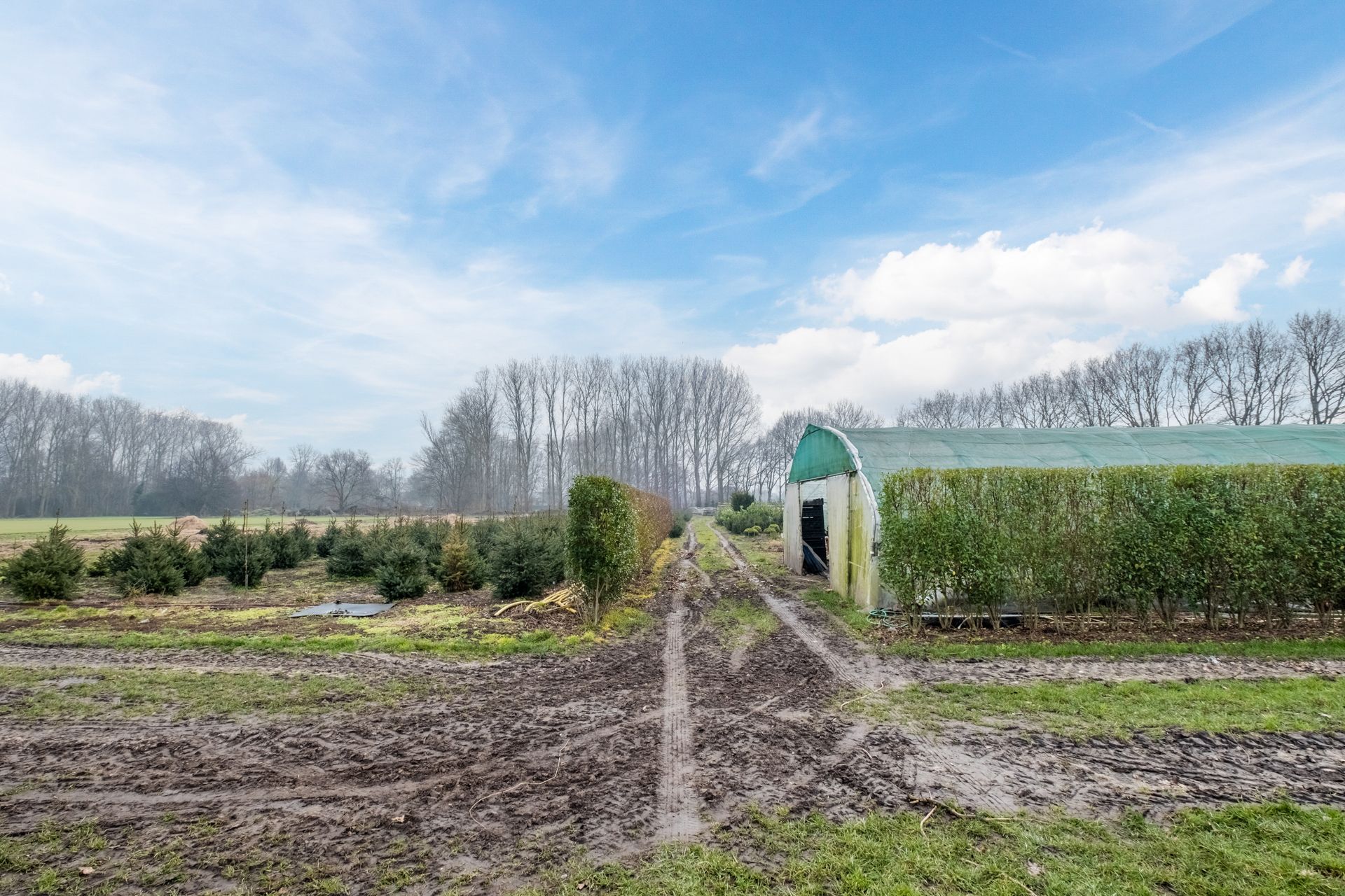 Photo 24 of Berkenstraat 12-B