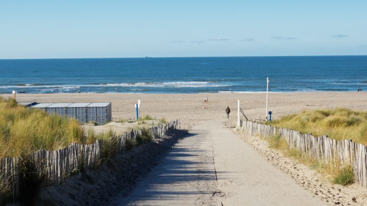 Foto 12 van Otterschelp 2