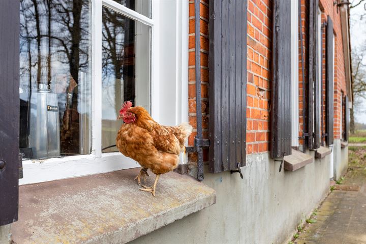 Bekijk foto 6 van Vosseveldseweg 20