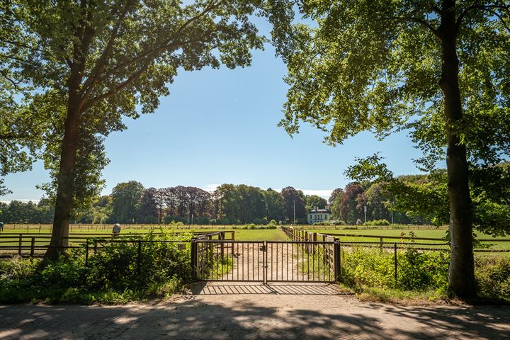 Bekijk foto 40 van Soestdijkerweg 17