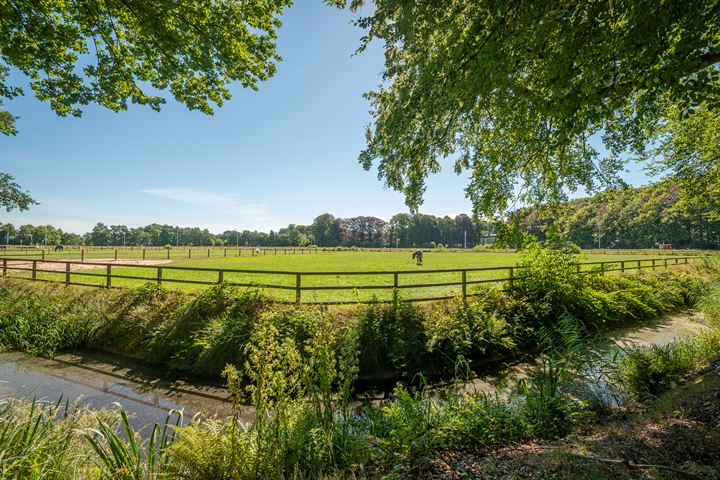 Bekijk foto 46 van Soestdijkerweg 17