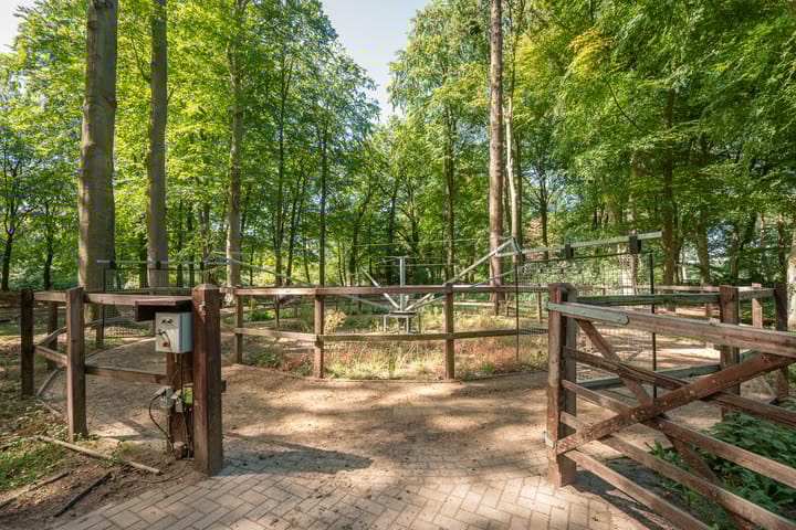 Photo 52 of Soestdijkerweg 17