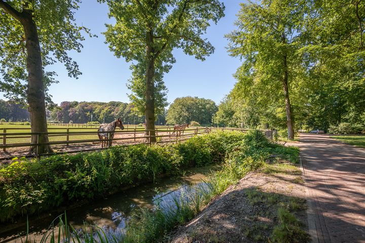 Bekijk foto 41 van Soestdijkerweg 17