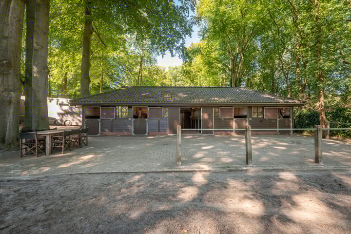 Photo 39 of Soestdijkerweg 17