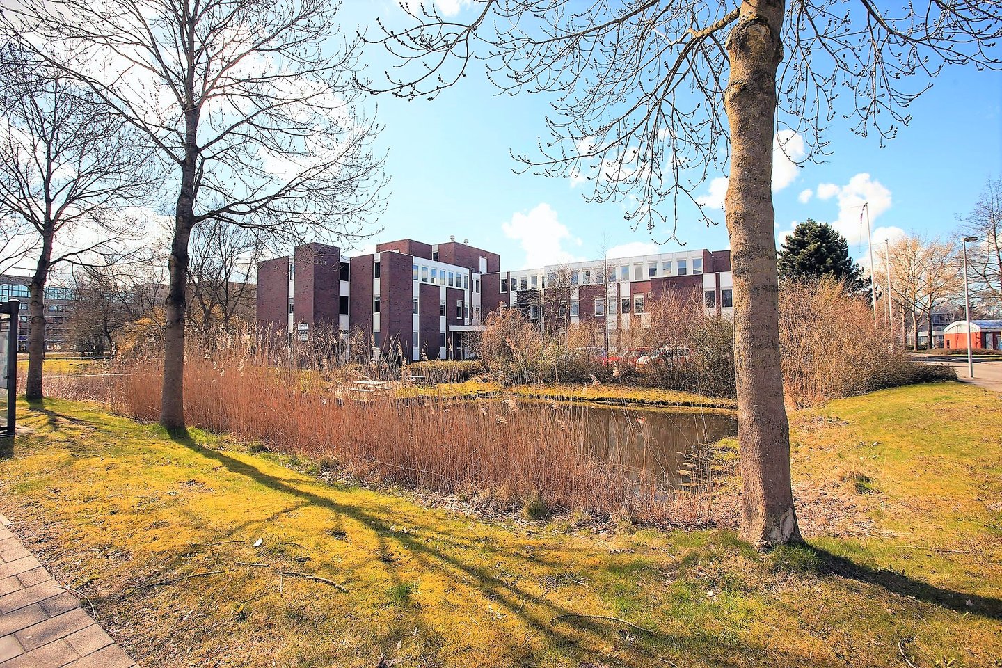 Bekijk foto 3 van Schweitzerlaan 2