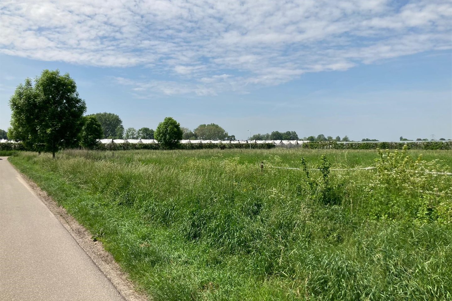 Bekijk foto 4 van Bijmansstraat kavel 33