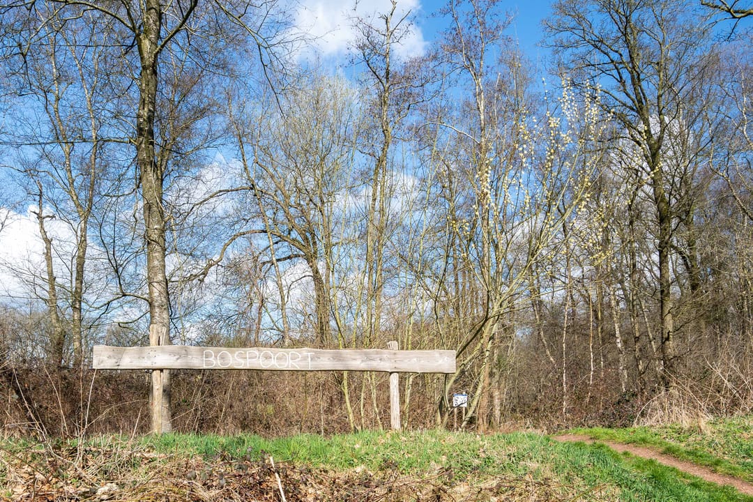 Photo 26 of Het Zwiggelterveld 121