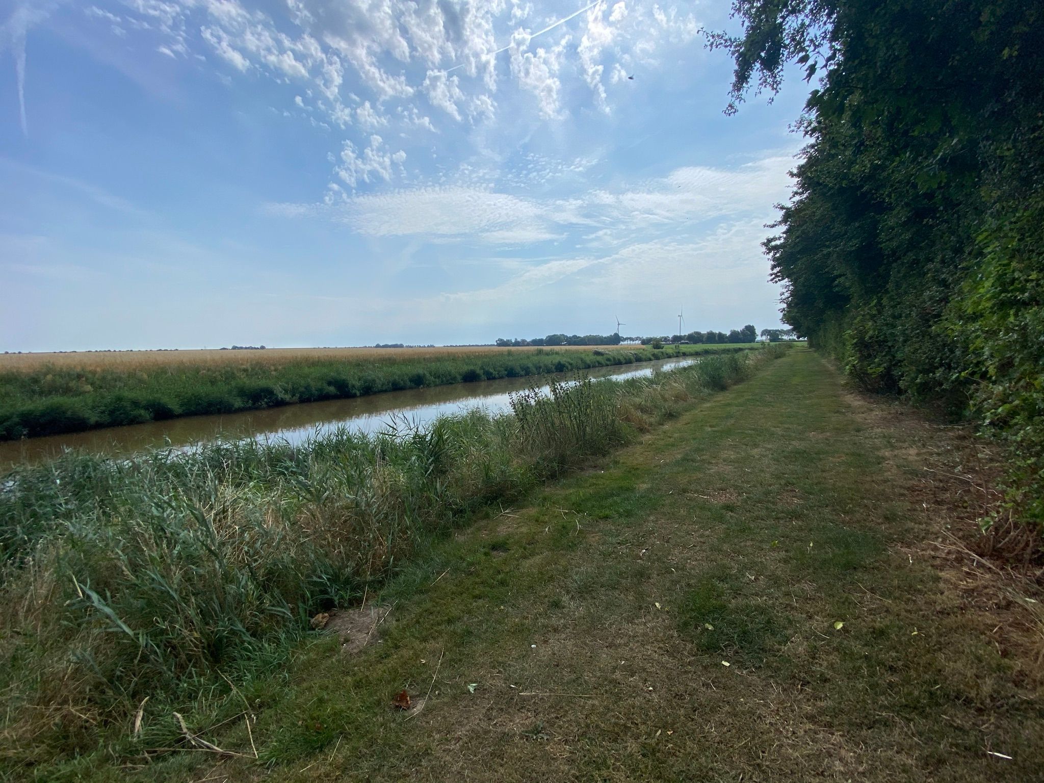 Photo 3 of Bollenstraat (bouwnummer 2 en 3)