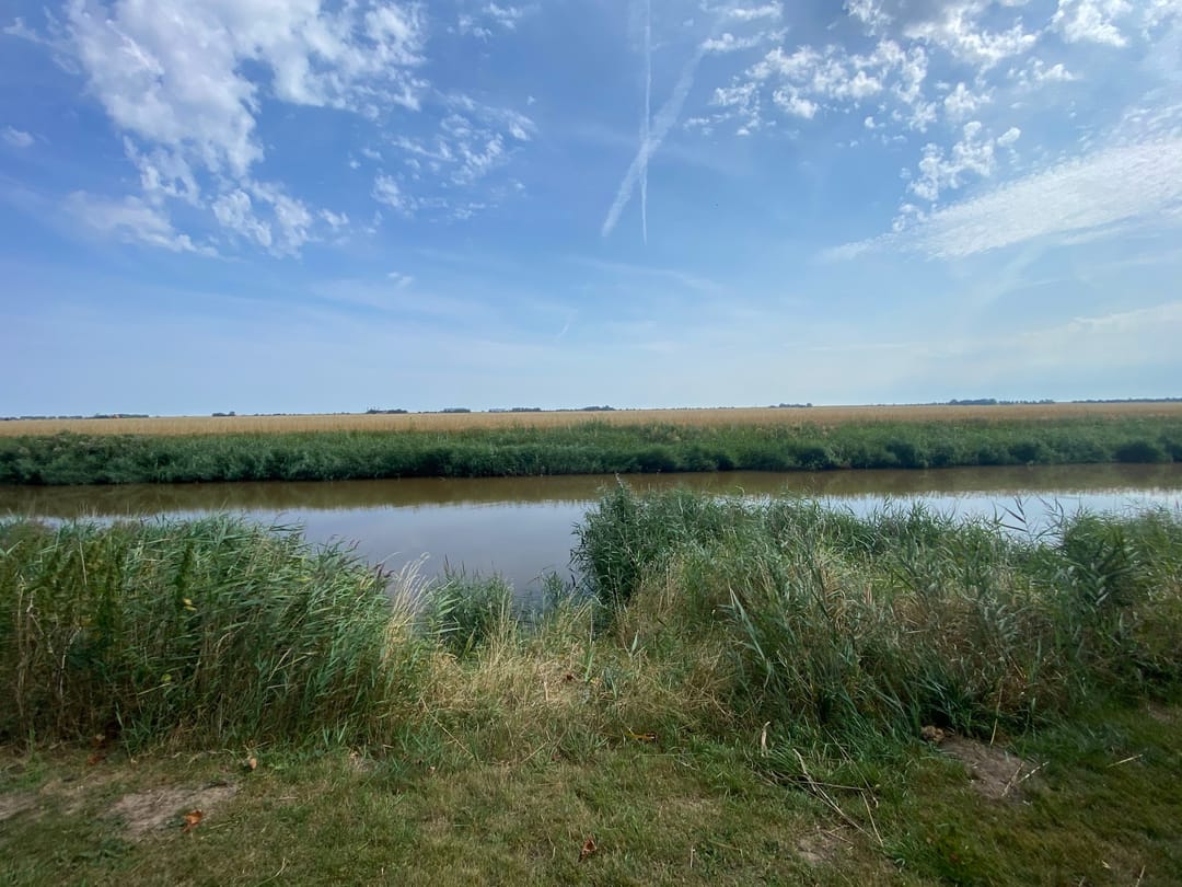 Foto 8 van Bollenstraat (bouwnummer 1)