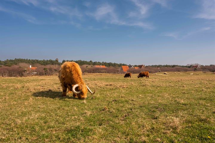 Bekijk foto 50 van Julianalaan 27