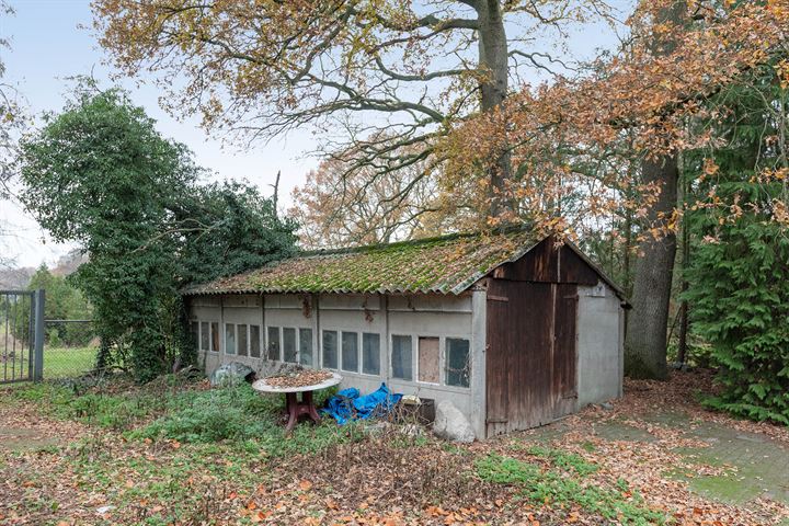 Bekijk foto 38 van Oldenzaalseweg 172-172A