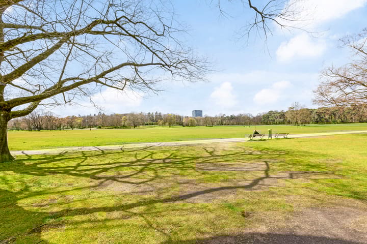 Foto 17 van Tijgerstraat 50