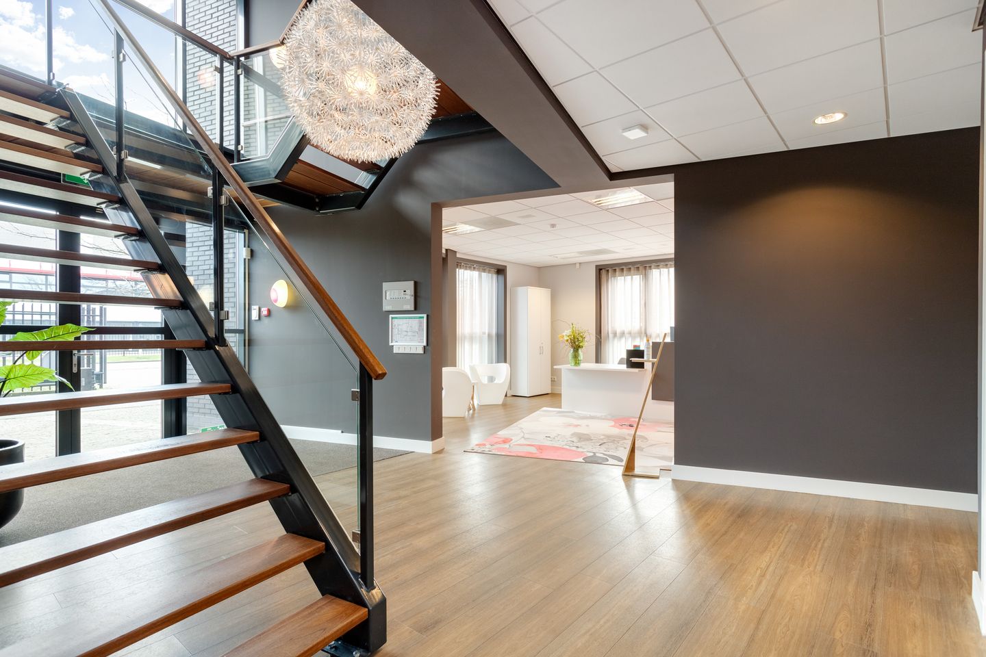 View photo 5 of Looier 5