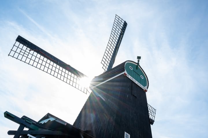 Photo 3 of Mahoniehout 392