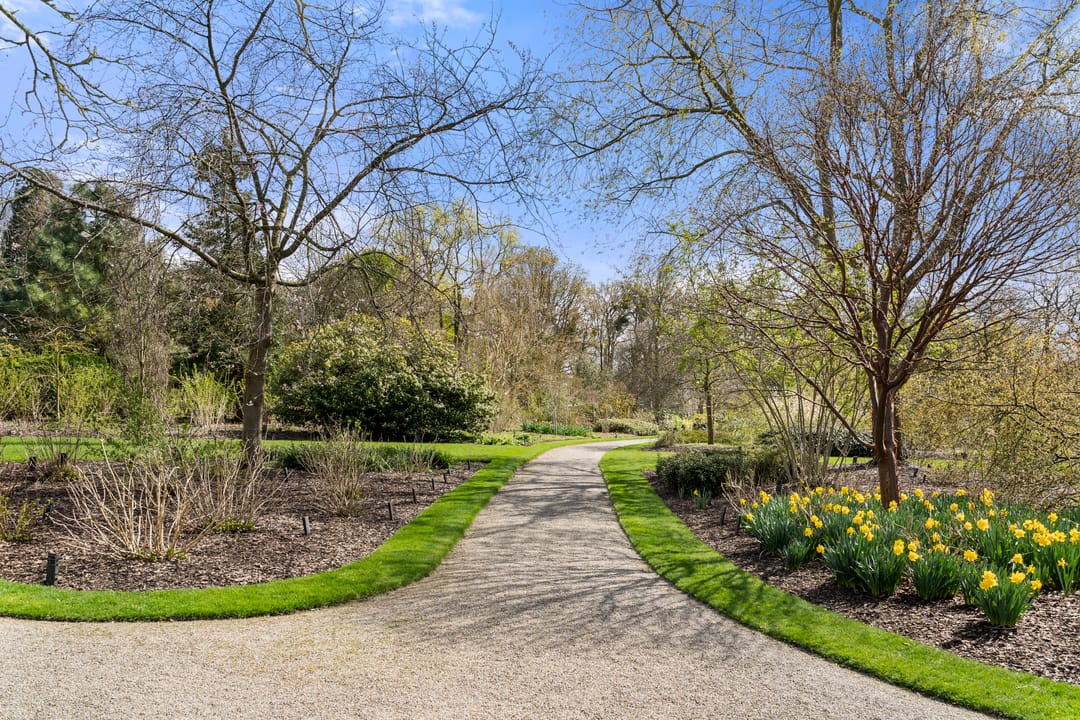 Photo 22 of Arboretumlaan 6-201