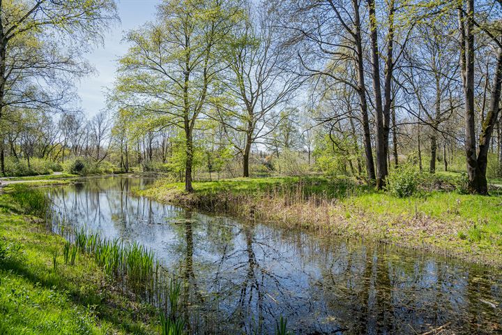 Bekijk foto 47 van Bartoklaan 24