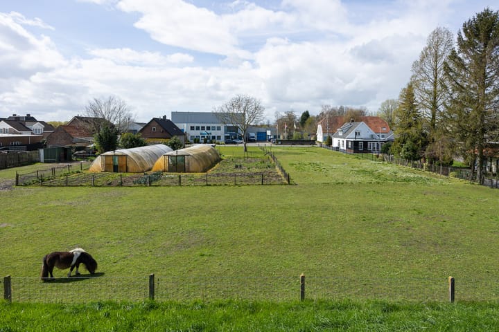 Foto 9 van Uitingstraat