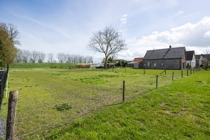 Foto 16 van Uitingstraat