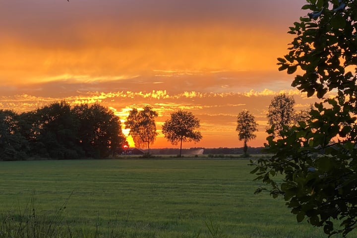 Bekijk foto 4 van De Broeken