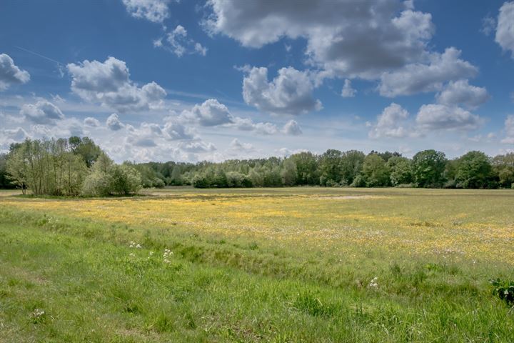 Bekijk foto 1 van De Broeken