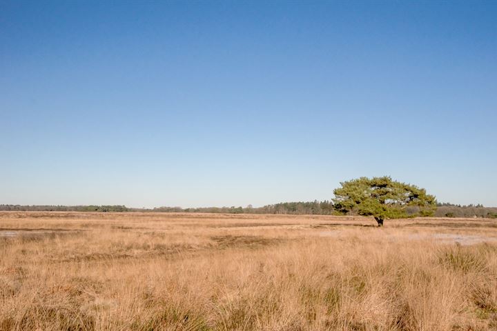 Bekijk foto 20 van De Broeken