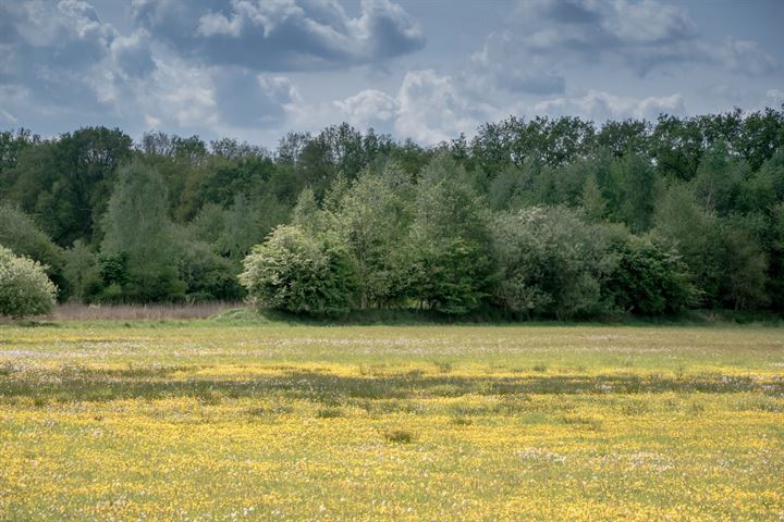 Bekijk foto 3 van De Broeken