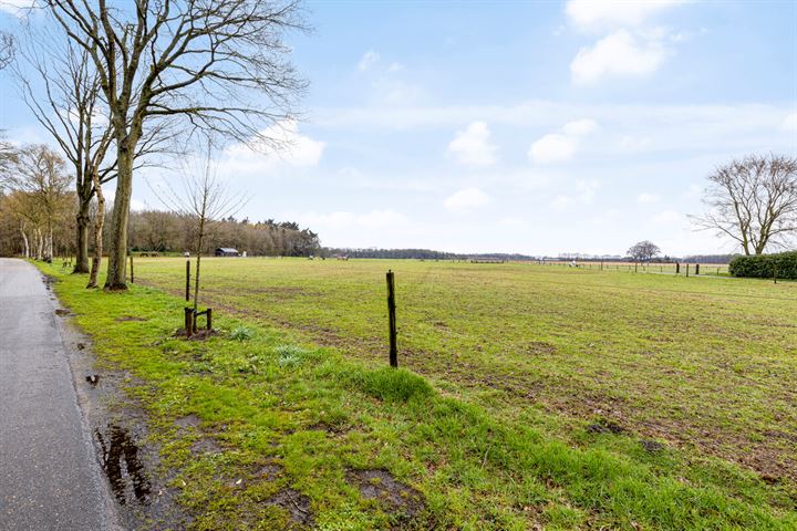 Bekijk foto 31 van Borgweg 48