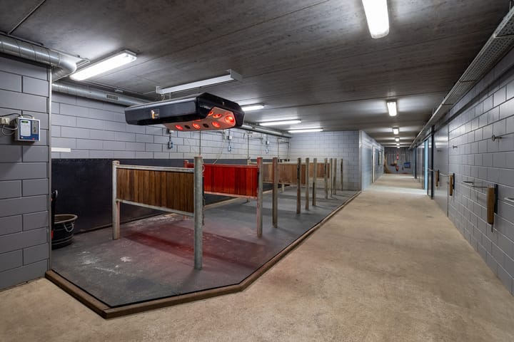 Photo 28 of Dortherdijk 16