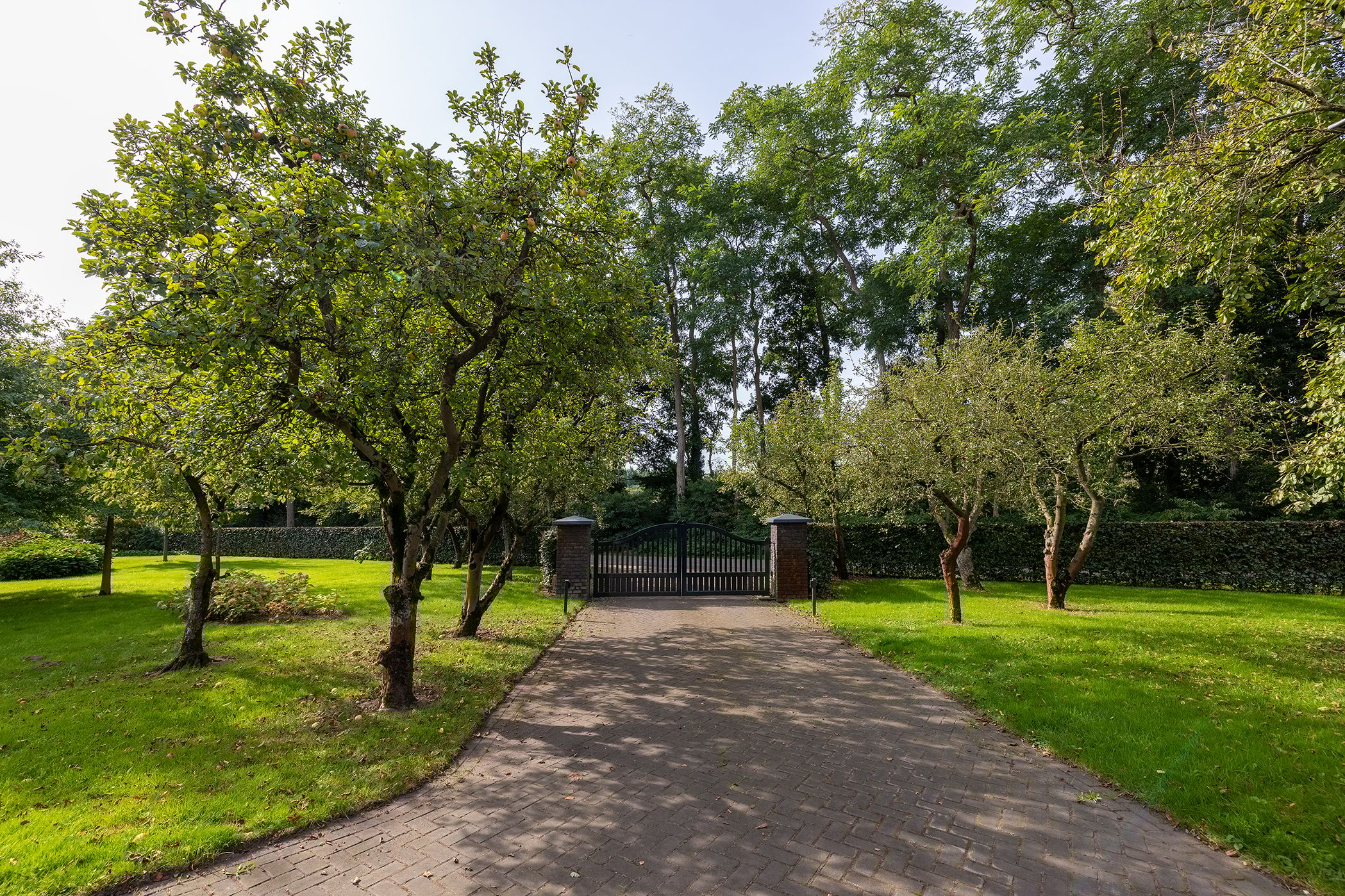 Foto 3 van Dortherdijk 16