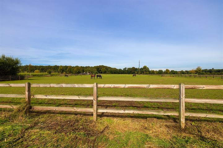 Bekijk foto 42 van Dortherdijk 16