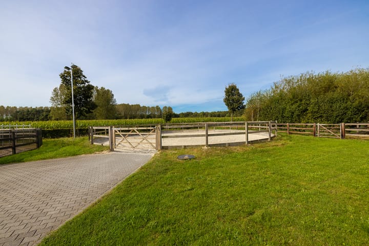 Photo 40 of Dortherdijk 16