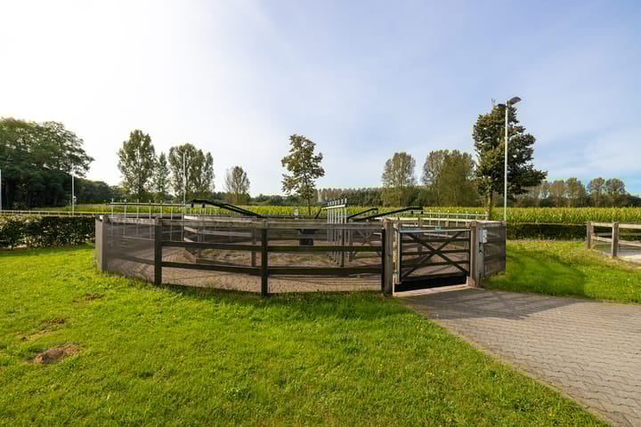 Photo 38 of Dortherdijk 16