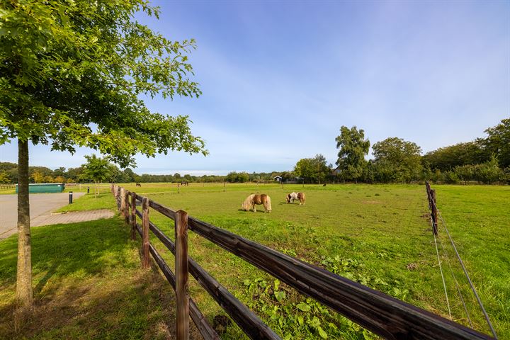 Bekijk foto 43 van Dortherdijk 16