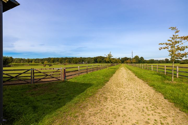 Bekijk foto 41 van Dortherdijk 16