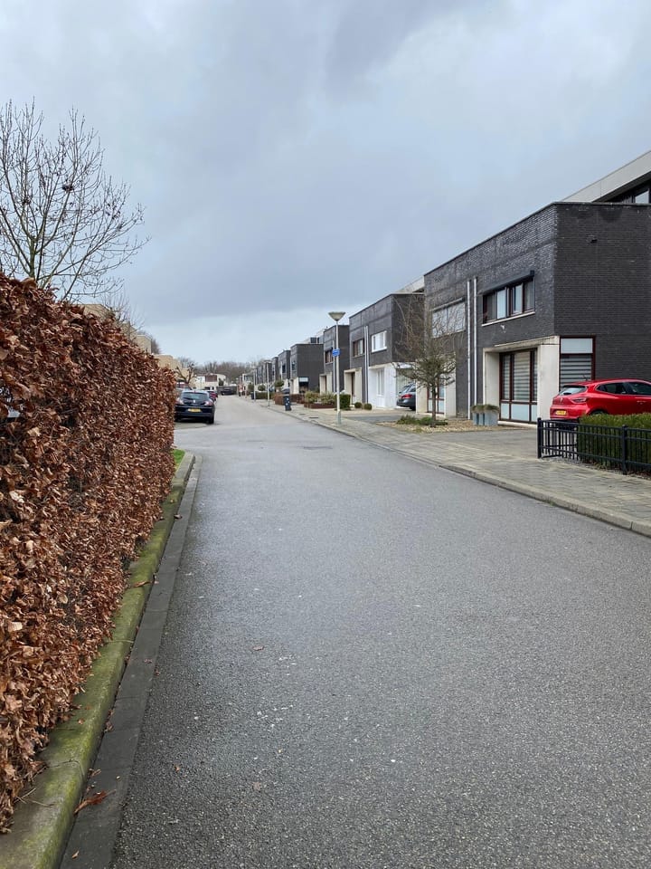 Foto 5 van Felix Timmermanstraat