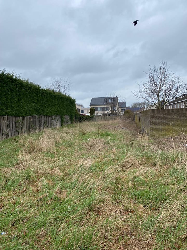 Foto 3 van Felix Timmermanstraat