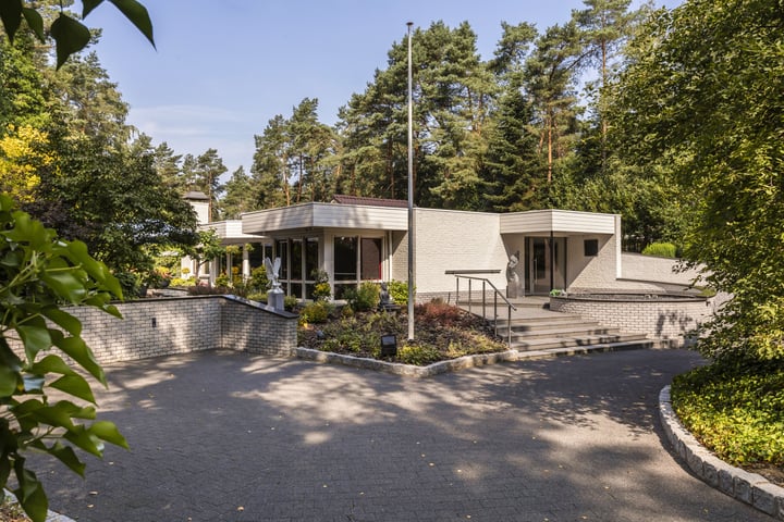Buizerdweg 12