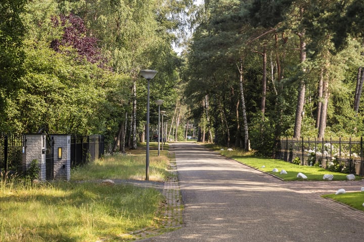 Bekijk foto 36 van Buizerdweg 12