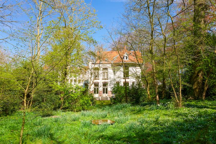 Bekijk foto 12 van Rhijngeesterstraatweg 11