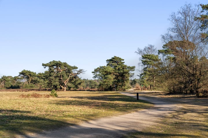 Foto 38 van Vijverlaan 1-G17