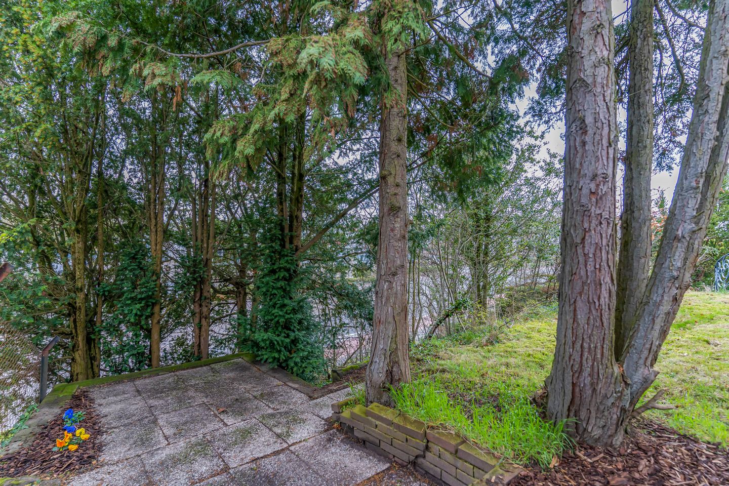 Foto 29 van Schelsberg 46